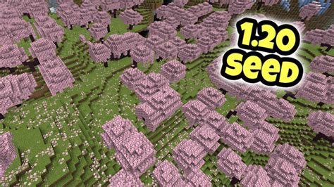 cherry blossom seed minecraft bedrock.